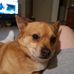 Jack Catlin - Facebook