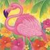 Jack Caughran - Facebook