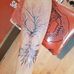 Jack Cauley - Facebook