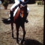 @jack_il_cavallo - Instagram