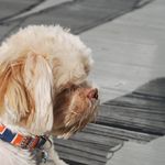 jack - @_jack.cavender_ - Instagram