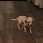 Sonny Jack Demsey Cavender - @sonnyjackdemsey - Instagram