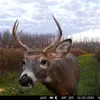 Jack Center - @jack.center - TikTok