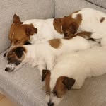 @jackcenter2023 - Instagram