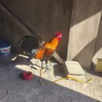 Jack Cervera - Facebook
