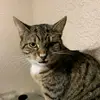 Jack chalmers - @gingerbread.ninja - TikTok