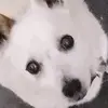chaney.jack - @chaney.jack - TikTok