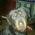 @jack_chaney_04 - Instagram