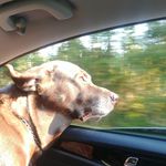 Jack Chaney - @jackechaney - Instagram