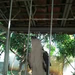 Jack Charter - @charter735 - Instagram