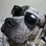 Jake Chartrand - @pea_shooter7 - Instagram