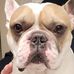 Jackie Chatelain - Facebook