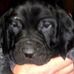 Jackie Chatelain - Facebook