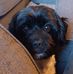 Jack Cheeseman - Facebook