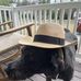 Jack Cheeseman - Facebook