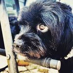 Jack Cheeseman - @cheeseman657 - Instagram
