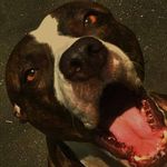 Jack Cheney - @jack.cheney.9279 - Instagram