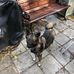 Jack Cheney - Facebook