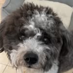 Jack Chernoff - @ch3rn22 - Instagram