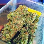 Jack cherry - @jackcherry68 - Instagram