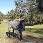 Jack Chew - @jack.chew.96343 - Instagram