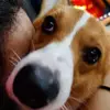 JACK ChEW - @jack.chew - TikTok