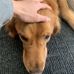 Jacky Chew - Facebook