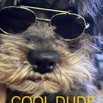 Jack Chiaramonte - @cool_dude_charlie - Instagram