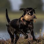 Jack Chiles - @_bcs_photography_ - Instagram