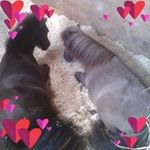 Jackie Chinery - @jackiechinery - Instagram