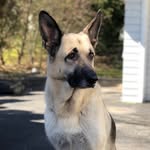 Jack Ching - @jack.ching.3939 - Instagram