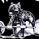 Jack Chisholm - @the_dawg_deadlifts - Instagram