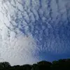 Jacky Choong - @jacky.choong7 - TikTok
