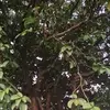 Chun Jack - @chun.jack7 - TikTok