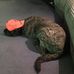 Jackson Cimino - Facebook