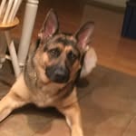 Jack Cincotta - @jack_cincotta - Instagram