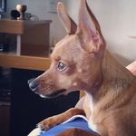 Jack 🐾 - @jackc_isco - Instagram