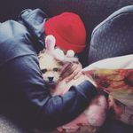 Jack Cisneros - @kacstar26 - Instagram