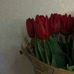 Jack Cisneros Arteaga - @lysnel.62.estoya13 - Instagram