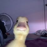 Jack Clawson - @big_jacko_10 - Instagram