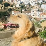 Jack - @jackclementedelmare - Instagram