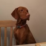 Jack Clissold - @clissoldjack - Instagram