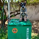 Jack Clothier - @uncle_crackers_cr - Instagram