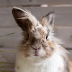 Jack Cloud - Facebook