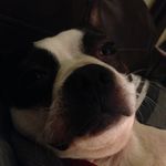 Jack Cloud - @cloud4132 - Instagram