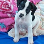Jack Clyde Morelli - @jackmorelli_ - Instagram