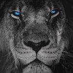 Jack Coates - @jcfalcon30 - Instagram