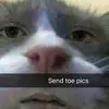 Jack Coates - @jack.coates0 - TikTok