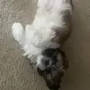 KCoaxum - @kcoaxum - TikTok