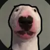 Jak_Dustbin - @jack_the_coder - TikTok